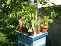 462de430-Picture 6386.jpg